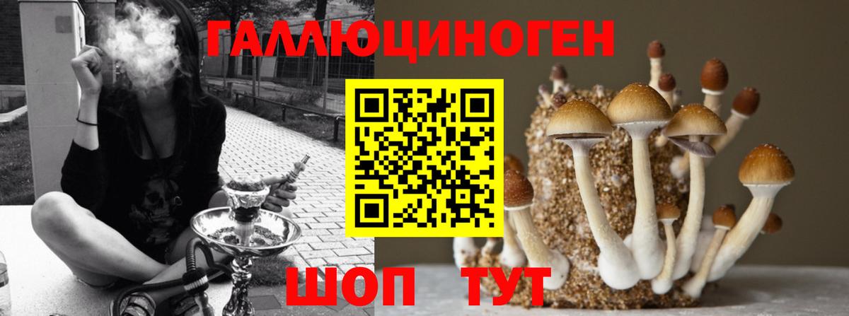 Галлюциногенные грибы Psilocybine cubensis  Псилоцибиновые грибы Magic Shrooms  Медногорск  Вход с VPN 