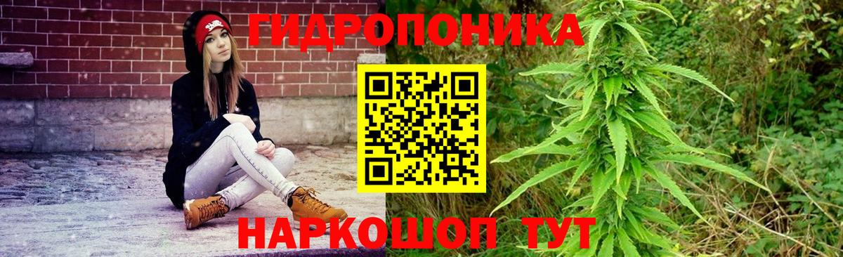 Медногорск  Каннабис OG Kush  Бошки марихуана гибрид  Вход с VPN  Бошки марихуана семена  Бошки Шишки марихуана 